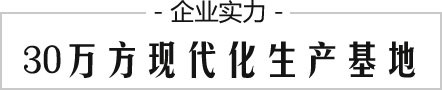 企业实力